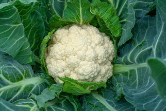 Cauliflower