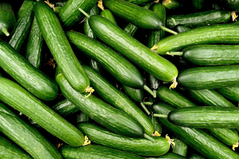 Cucumber