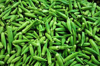 Okra